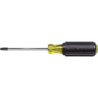 Tournevis Klein a/manche caoutchout&eacute;-Tournevis Torx &agrave; tige ronde Distribution Industrielle GC