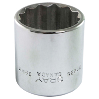 Socket, 13 mm, 1/2" Drive, 12 Points Distribution Industrielle GC