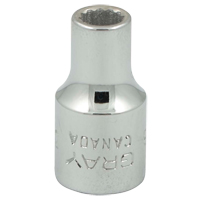 Socket, 3/16", 1/4" Drive, 12 Points Distribution Industrielle GC