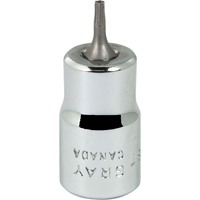 Bit Socket, Torx&reg;, T8 x 2-1/8" L, 3/8" Drive Distribution Industrielle GC