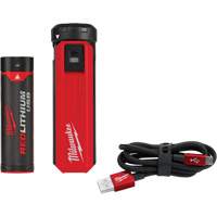 Trousse d'alimentation et de chargeur USB Redlithium, 4 V, Lithium-ion Distribution Industrielle GC