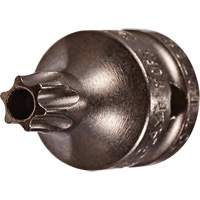 Embout &agrave; ins&eacute;rer, Torx inviolable, 8 x 3/4" lo, Prise 1/4" Distribution Industrielle GC