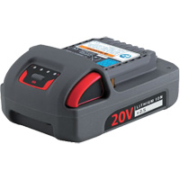 IQV20 Series Battery, Lithium-Ion, 20 V, 2.5 Ah Distribution Industrielle GC