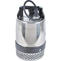 Pompe utilitaire s&eacute;rie FLS/FS, 1 CV, 80 gal./min, 115 V, 10 A Distribution Industrielle GC