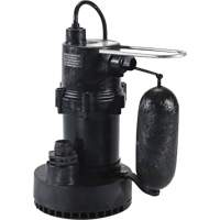 Pompe de puisard de s&eacute;rie 5.5, 35 gal./min, 115 V, 3,5 A, 1/4 CV Distribution Industrielle GC