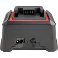 Chargeur de batterie 2,5 Ah et 5,0 Ah, 120 V, Lithium-ion Distribution Industrielle GC