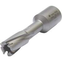 Outil de coupe annulaire avec mandrin soud&eacute;, Diam&egrave;tre de 12 mm, Carbure, Profondeur de la coupe de 30 mm, Tige 3/4" Distribution Industrielle GC