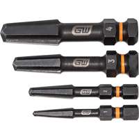 Jeu d'extracteur de vis Bolt Biter, Acier rapide, 4 Morceaux Distribution Industrielle GC