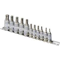 SS1438-11T Jeu de douilles chrom&eacute;es, Torx, Prise 1/4"/3/8", 10 mr Distribution Industrielle GC