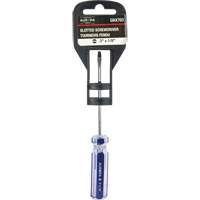 Tournevis &agrave; fente bleu transparent avec bandes , Tige de 1/8", Ronde, Prise en Plastique Distribution Industrielle GC
