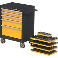 Jeu d'outils de m&eacute;canicien dans des plateaux modulaires en mousse avec conteneur de rangement, 247 morceaux Distribution Industrielle GC