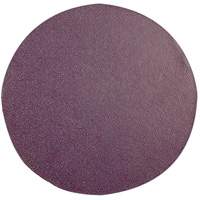 Lock Back Sanding Discs