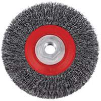 5C14T High Performance Crimped Wire Brush, 5" Dia., 0.014" Fill, 5/8"-11NC Arbor Distribution Industrielle GC