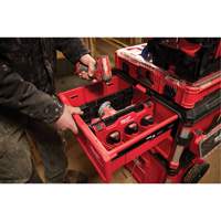 Diviseur pour boîtes &agrave; outils &agrave; tiroirs Packout Distribution Industrielle GC