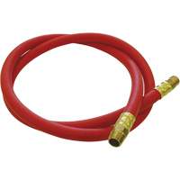 Hose Reel Connecting Hose, Air, EPDM Rubber, 1/2" dia. x 5', 300 psi, 1/2 NPT Distribution Industrielle GC