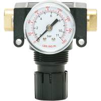 D&eacute;tendeur &agrave; piston en ac&eacute;tal MODULAIR 200, 1/4" NPT, PSI max. de 150 psi, Canalisation/Modulaire Distribution Industrielle GC