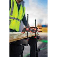 Medium Trigger Clamps Set, 12" (304.8 mm) Distribution Industrielle GC
