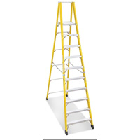 Industrial Heavy-Duty Platform Stepladders (6500 Series), 12', 300 lbs. Cap. Distribution Industrielle GC