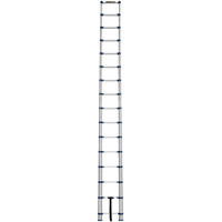 &eacute;chelle t&eacute;lescopique, 3' - 15,5', Aluminium, Capacit&eacute; de 250 lb, Type 1 Distribution Industrielle GC