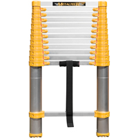 &eacute;chelle t&eacute;lescopique, 3' - 12', Aluminium, Capacit&eacute; de 250 lb, Type 1 Distribution Industrielle GC
