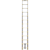 &eacute;chelle t&eacute;lescopique, 3' - 12', Aluminium, Capacit&eacute; de 250 lb, Type 1 Distribution Industrielle GC