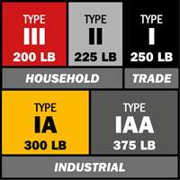 Step Ladder with Paint Tray, 10', Aluminum, 225 lbs. Capacity, Type 2 Distribution Industrielle GC
