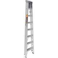 Step Ladder with Paint Tray, 8', Aluminum, 225 lbs. Capacity, Type 2 Distribution Industrielle GC