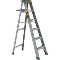 Step Ladder with Paint Tray, 6', Fibreglass, 225 lbs. Capacity, Type 2 Distribution Industrielle GC