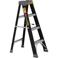 Step Ladder, 4', Fibreglass, 250 lbs. Capacity, Type 1 Distribution Industrielle GC