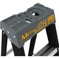 Step Ladder with Paint Tray, 10', Fibreglass, 250 lbs. Capacity, Type 1 Distribution Industrielle GC