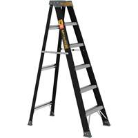 Step Ladder, 6', Fibreglass, 250 lbs. Capacity, Type 1 Distribution Industrielle GC