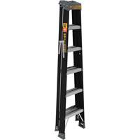 Step Ladder, 6', Fibreglass, 250 lbs. Capacity, Type 1 Distribution Industrielle GC