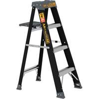 Step Ladder with Paint Tray, 4', Fibreglass, 250 lbs. Capacity, Type 1 Distribution Industrielle GC