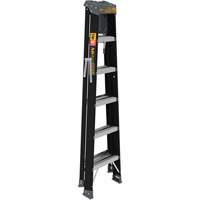 Step Ladder with Paint Tray, 6', Fibreglass, 250 lbs. Capacity, Type 1 Distribution Industrielle GC
