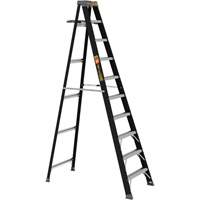 Step Ladder with Paint Tray, 10', Fibreglass, 250 lbs. Capacity, Type 1 Distribution Industrielle GC