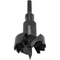 Self-Feed Bit, 3" Distribution Industrielle GC