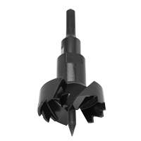 Standard Self-Feed Drill Bit, 3-5/8", 6" Length, 7/16" Hex Shank Distribution Industrielle GC