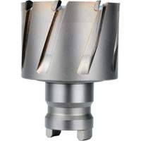 Fraise avec tenon &agrave; changement rapide Drive Hawg, Diam&egrave;tre de 2", Acier, Profondeur de la coupe de 1" Distribution Industrielle GC