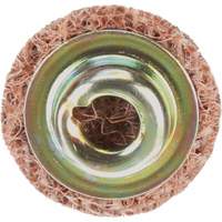 Disque de conditionnement de surface &agrave; remplacement rapide Standard Abrasives, 3/4" dia., Grain Cors&eacute;, Oxyde d'aluminium Distribution Industrielle GC