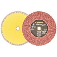 QUICK-STEP FLEX, 5" x Type 29, 40 Grit, Aluminum Oxide Distribution Industrielle GC