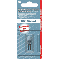 Ampoule de rechange pour lampe de poche rechargeable Distribution Industrielle GC