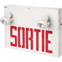 Enseignes/lampes combin&eacute;es Stella - Sortie, DEL, &agrave; raccordement fixe, 17-1/2" lo x 12-1/2" la, Français Distribution Industrielle GC