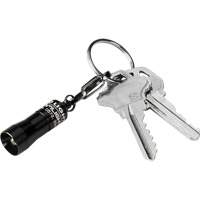 Lampes de poche Nano Light Distribution Industrielle GC