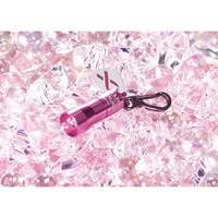 Lampes de poche Nano Light Distribution Industrielle GC