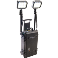 9460 Remote Area Lighting Systems, LED, 12,000 Lumens, Plastic Housing Distribution Industrielle GC