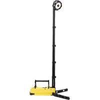 Lampes de sc&egrave;ne portables et rechargeables, DEL, 36 W, 5300 lumens, Boîtier en Plastique Distribution Industrielle GC