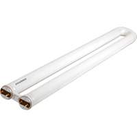 Lampes fluorescentes OCTRON CURVALUME 800, 31 W, T8 en U, 4100 K, Longueur de 22,5" Distribution Industrielle GC