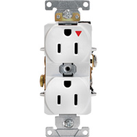Industrial Grade Isolated Duplex Outlet Distribution Industrielle GC