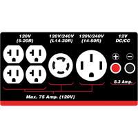 G&eacute;n&eacute;ratrice &agrave; essence/propane &agrave; d&eacute;marreur &eacute;lectrique Distribution Industrielle GC