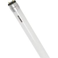 Ampoule DEL en verre givr&eacute; SubstiTUBE, 12 W, T8, 5000 K, 48" l Distribution Industrielle GC